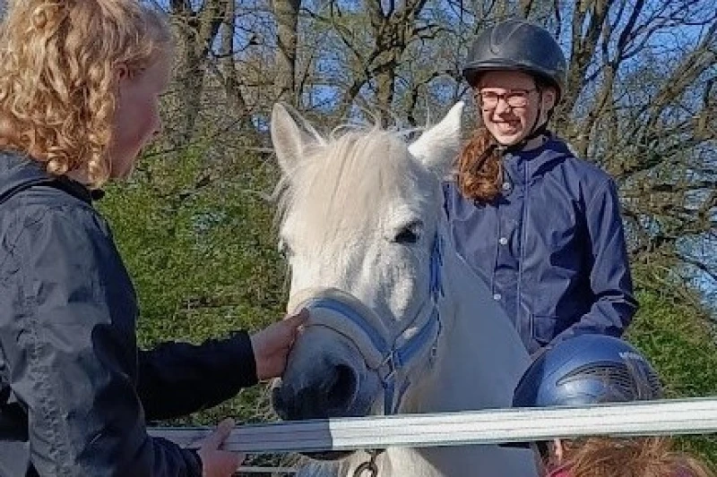 Fachkraft-Ausbildung Reitpädagogik